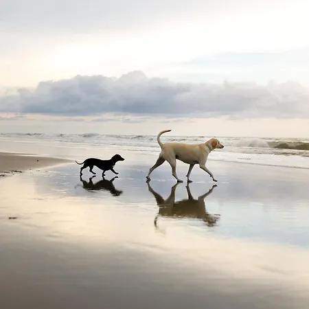 Дом отдыха Sunset - Part Of The The Bay Village With Pool, Gym And Direct Access, Pub, Restaurant, Tennis And Meadows Walks